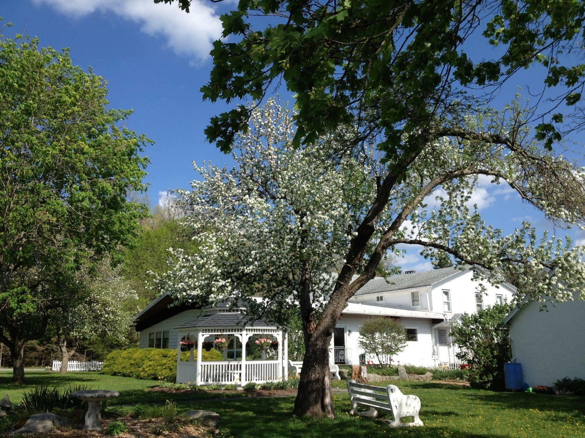 Lukans Farm Resort Hawley Exterior foto